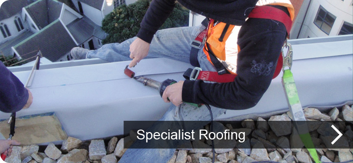 Specialist Roofing